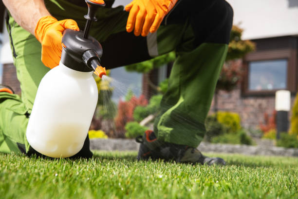 Best Mosquito Control Services  in Teviston, CA