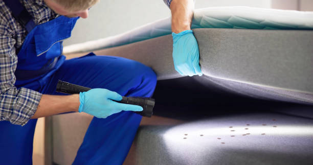 Best Pest Control for Homes  in Teviston, CA