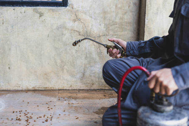Best Commercial Pest Control Services  in Teviston, CA