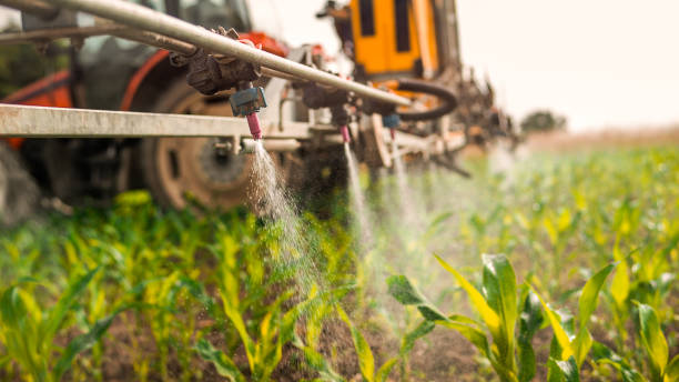 Best Ant Control Services  in Teviston, CA